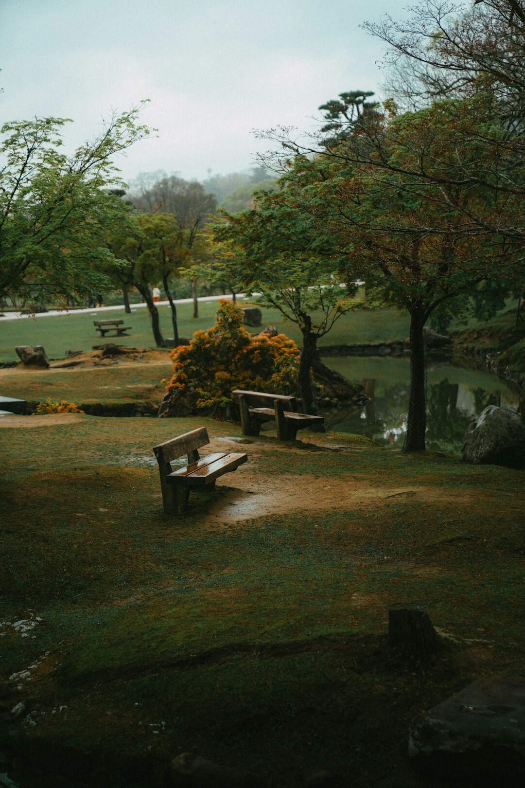 serene garden with bench