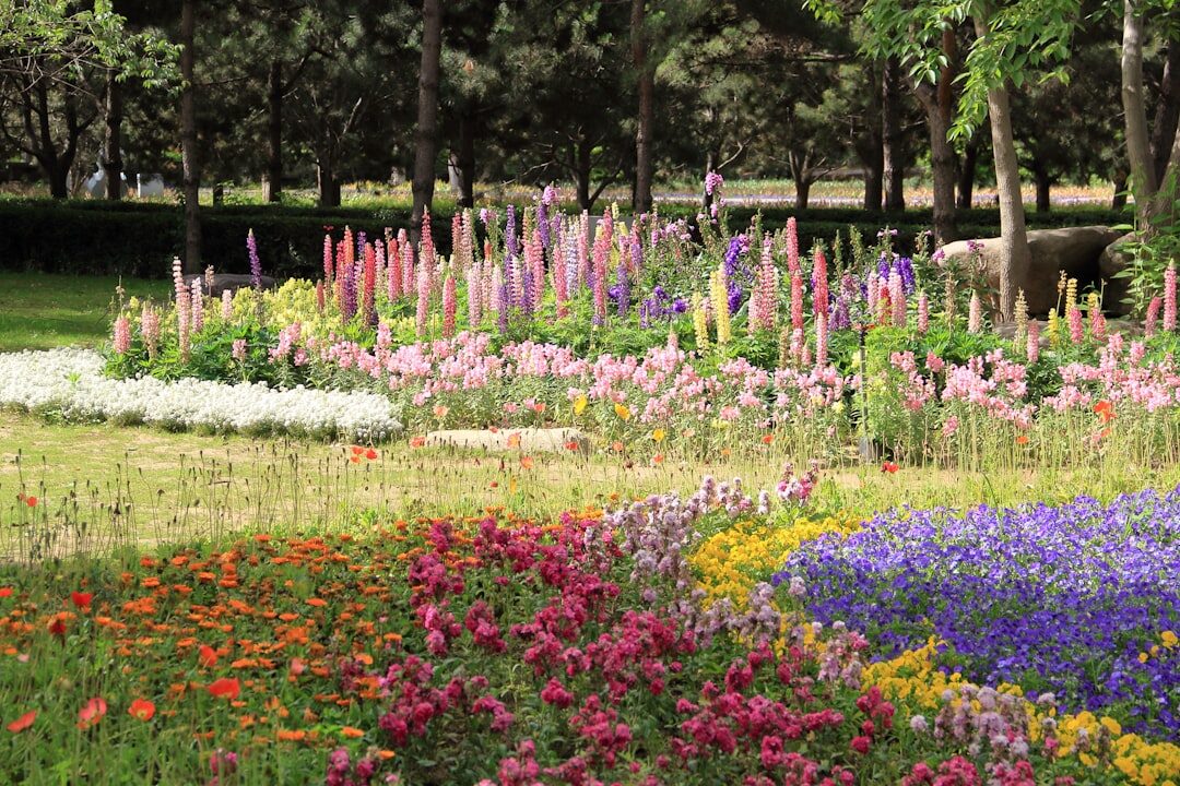 colorful blooming garden