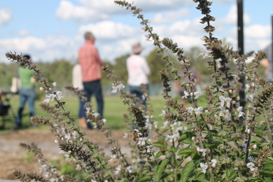 community garden sharing