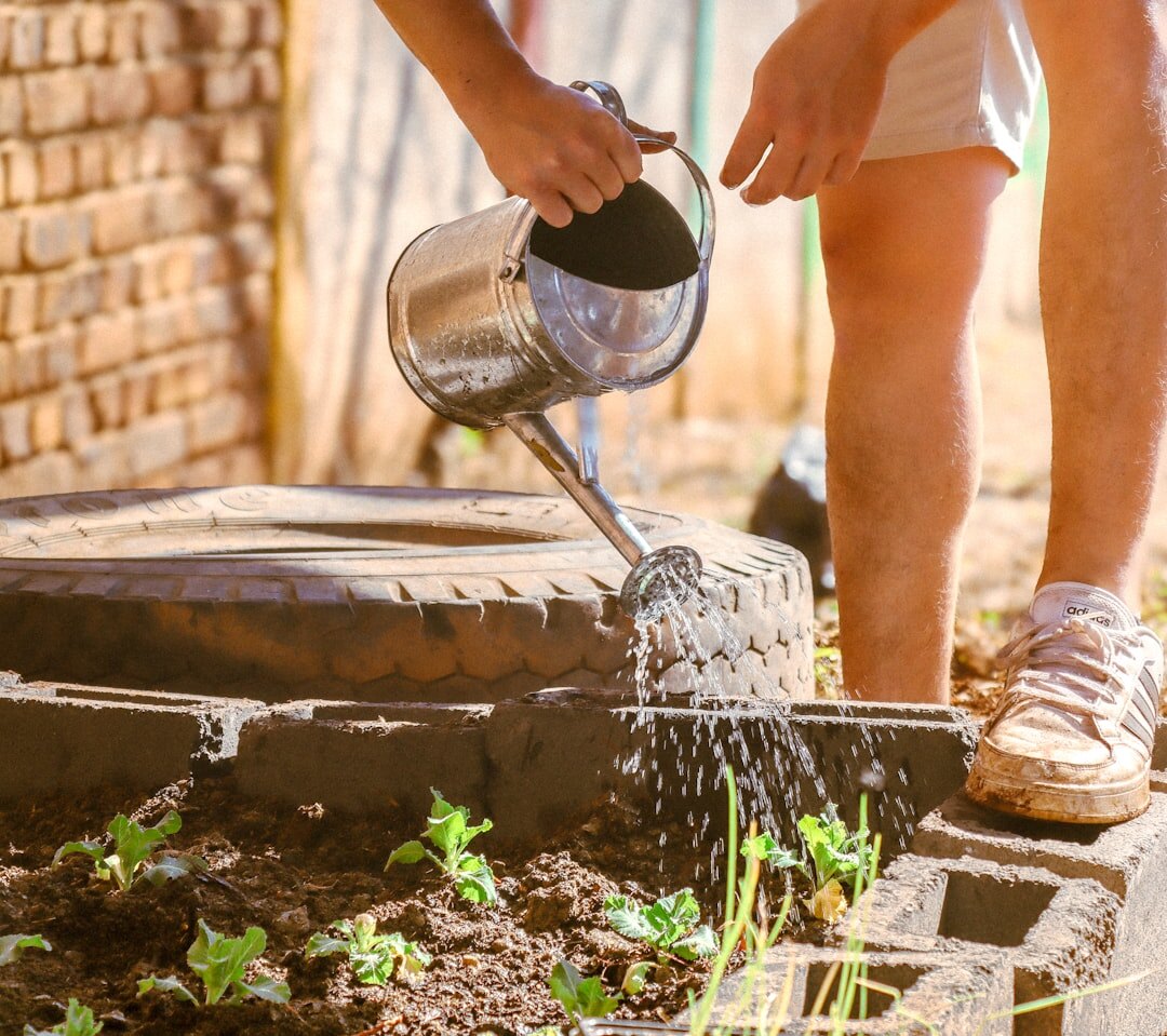 sustainable garden without chemicals