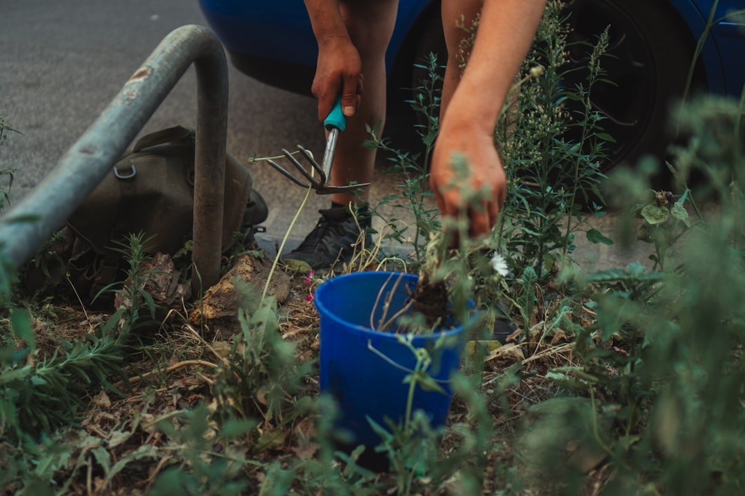 woman planting herbs