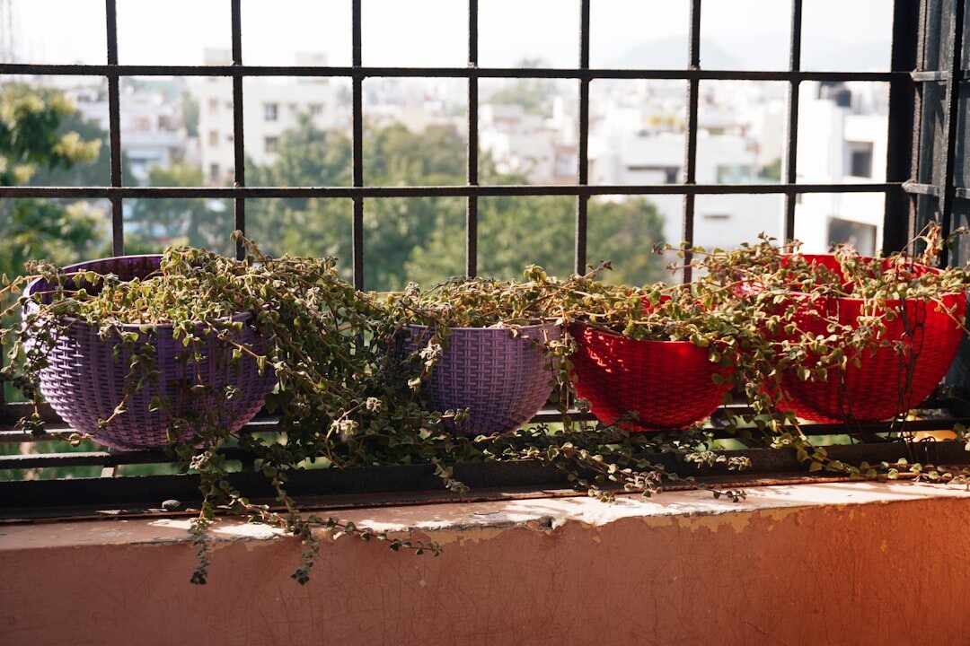 balcony garden with pots