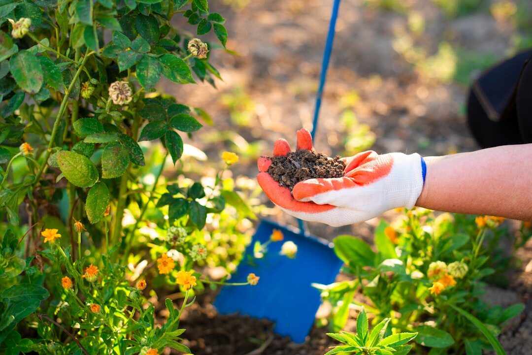 Close-up of a Czech gardener's hands holding gardening tools
