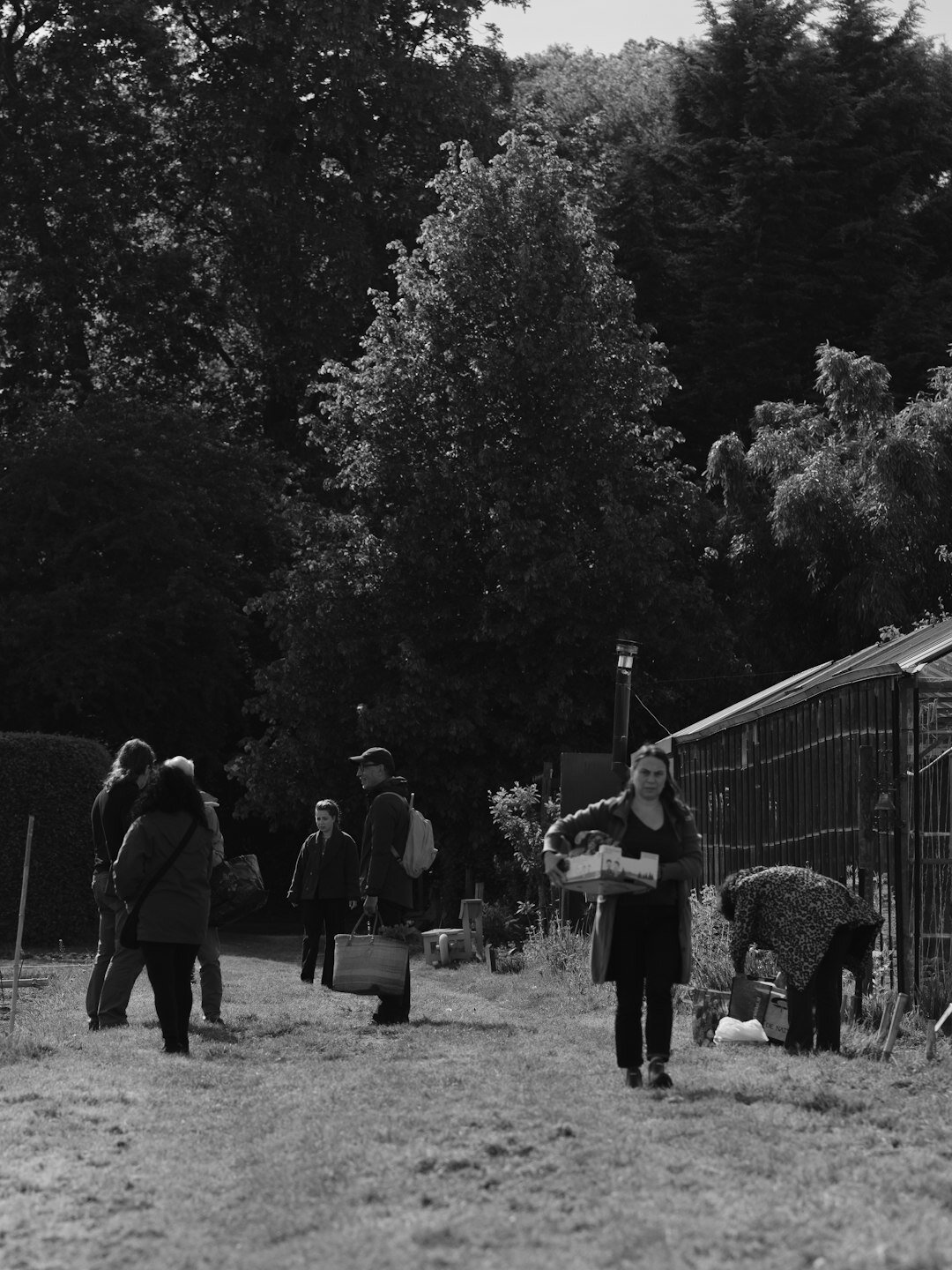 Group of Czech adults tending a community vegetable garden together